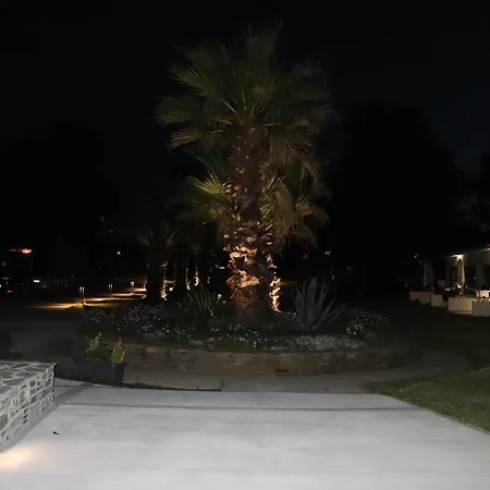 The Palms Novasithonia * 보우르보우로우