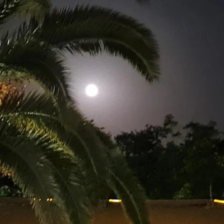 The Palms Novasithonia *