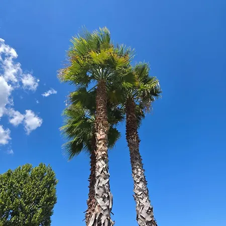 Апартамент The Palms Novasithonia *