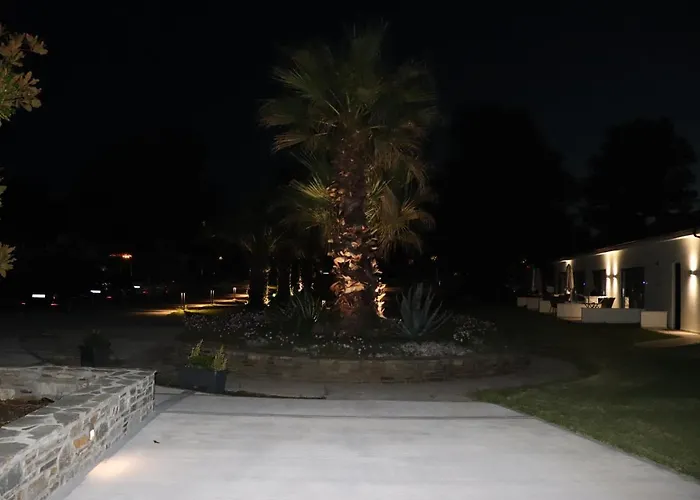The Palms Novasithonia * Βουρβουρού