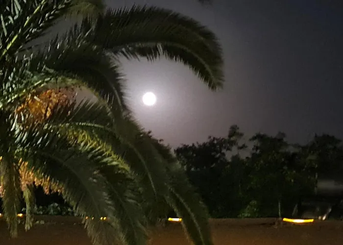 The Palms Novasithonia *